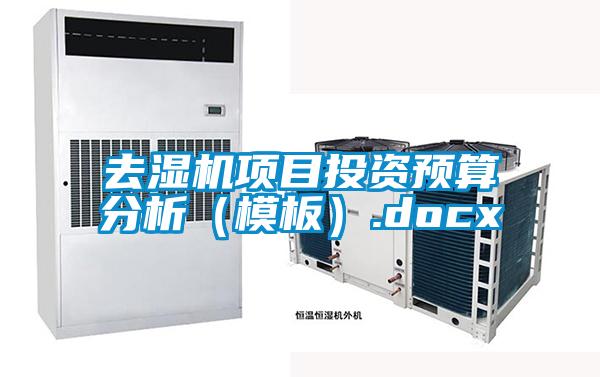 去濕機(jī)項(xiàng)目投資預(yù)算分析（模板）.docx