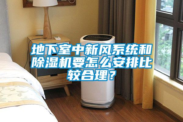 地下室中新風系統和除濕機要怎么安排比較合理？