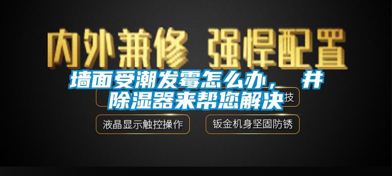 墻面受潮發霉怎么辦，東井除濕器來幫您解決