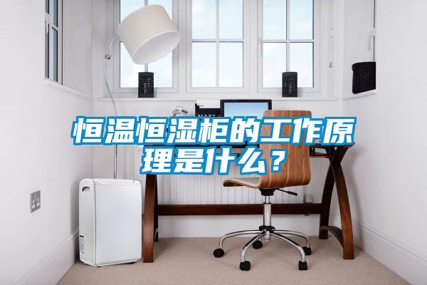 恒溫恒濕柜的工作原理是什么？