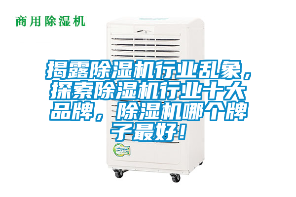 揭露除濕機行業(yè)亂象，探索除濕機行業(yè)十大品牌，除濕機哪個牌子最好！
