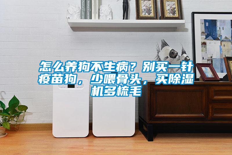 怎么養(yǎng)狗不生病？別買(mǎi)一針疫苗狗，少喂骨頭，買(mǎi)除濕機(jī)多梳毛