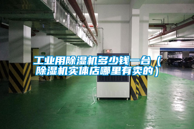 工業用除濕機多少錢一臺（除濕機實體店哪里有賣的）