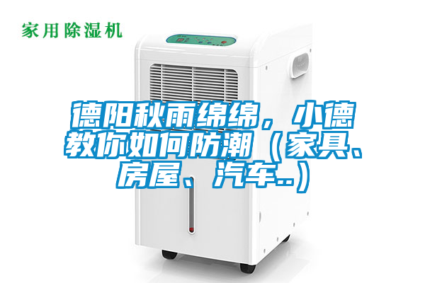 德陽秋雨綿綿，小德教你如何防潮（家具、房屋、汽車..）