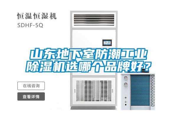 山東地下室防潮工業除濕機選哪個品牌好？