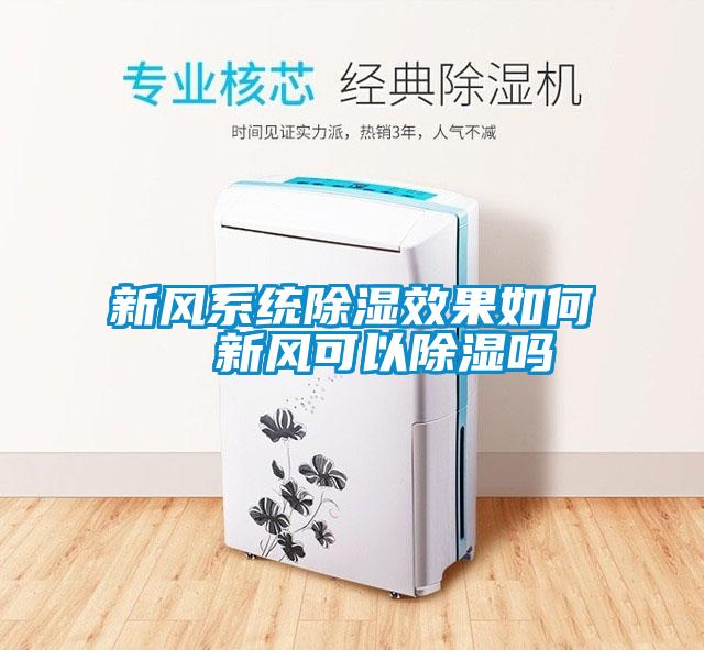 新風系統除濕效果如何  新風可以除濕嗎