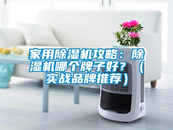 家用除濕機攻略：除濕機哪個牌子好？（實戰(zhàn)品牌推薦）