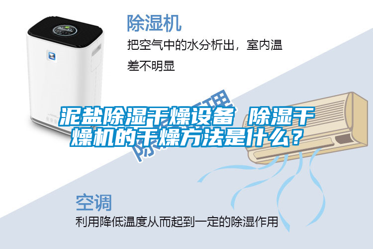 泥鹽除濕干燥設備 除濕干燥機的干燥方法是什么？