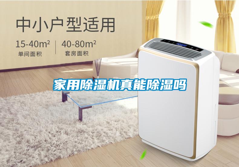 家用除濕機真能除濕嗎