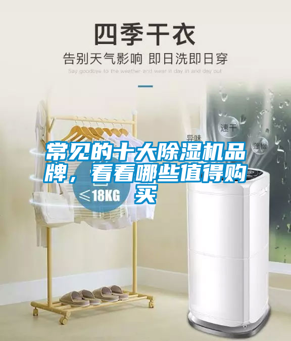 常見的十大除濕機(jī)品牌，看看哪些值得購(gòu)買
