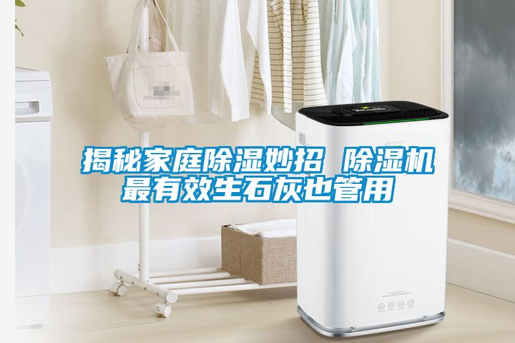 揭秘家庭除濕妙招 除濕機最有效生石灰也管用