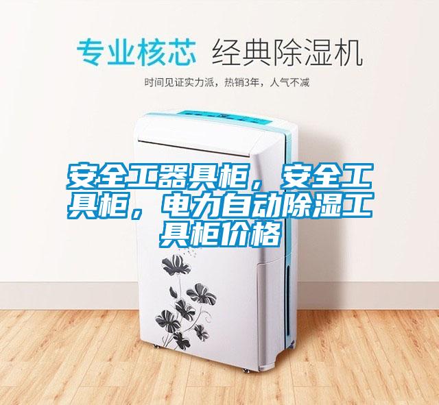 安全工器具柜，安全工具柜，電力自動除濕工具柜價格