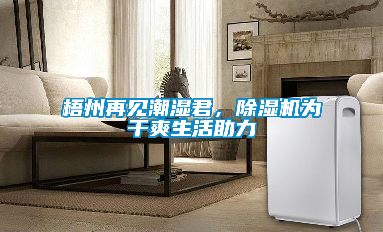 梧州再見潮濕君，除濕機為干爽生活助力