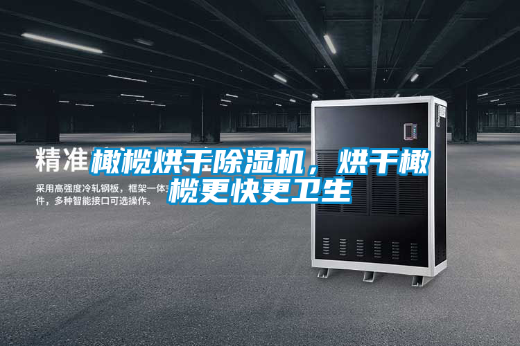 橄欖烘干除濕機(jī)，烘干橄欖更快更衛(wèi)生