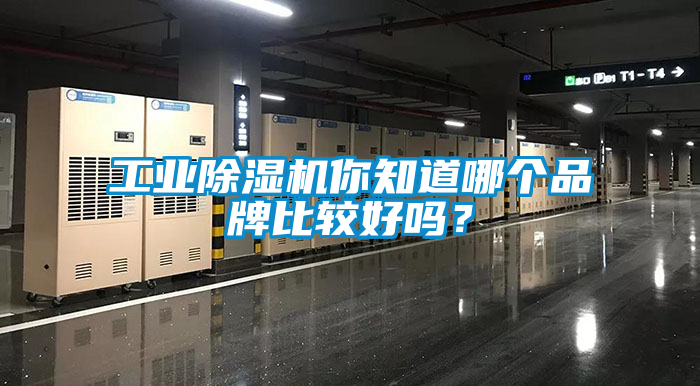 工業除濕機你知道哪個品牌比較好嗎？