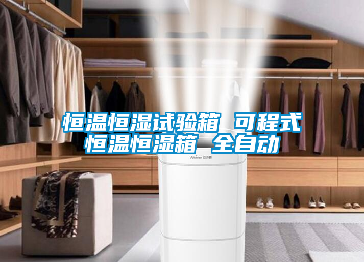 恒溫恒濕試驗(yàn)箱 可程式恒溫恒濕箱 全自動(dòng)