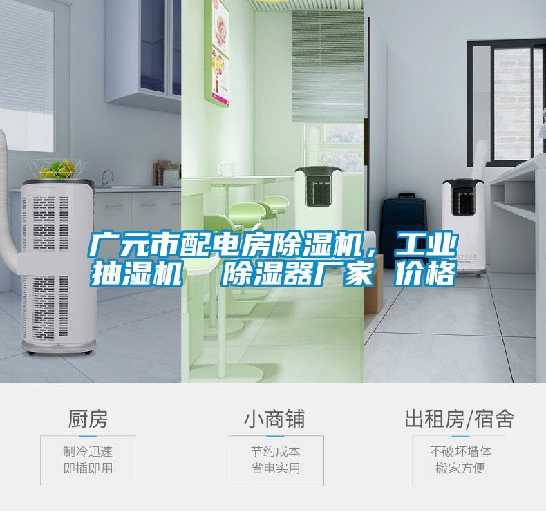 廣元市配電房除濕機，工業抽濕機  除濕器廠家 價格