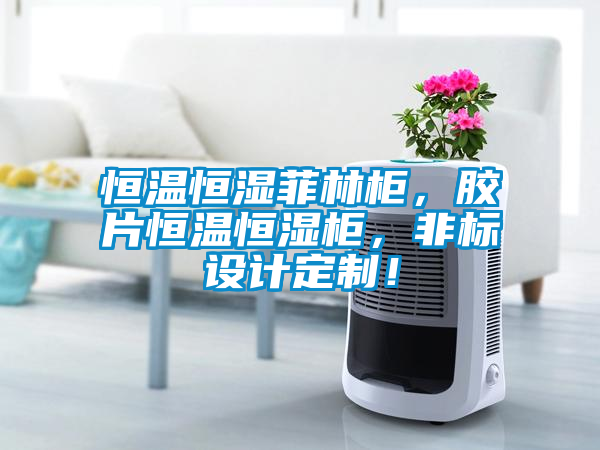 恒溫恒濕菲林柜，膠片恒溫恒濕柜，非標設計定制！
