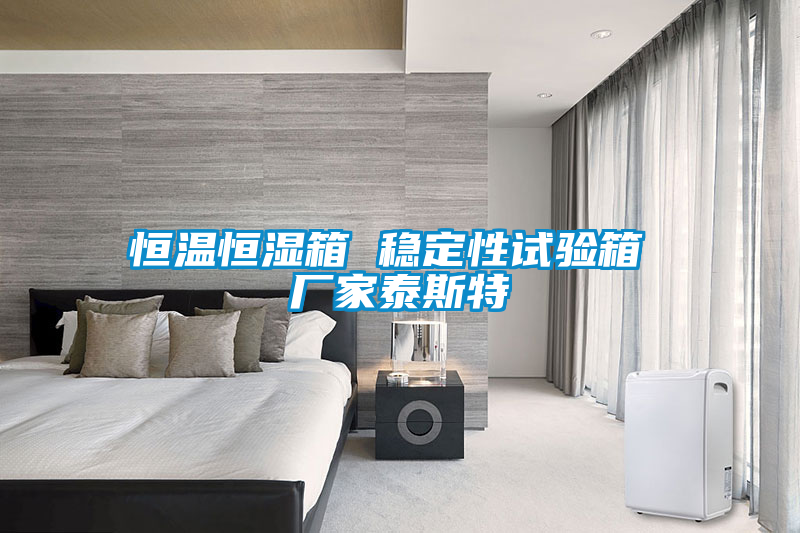 恒溫恒濕箱 穩(wěn)定性試驗箱 廠家泰斯特