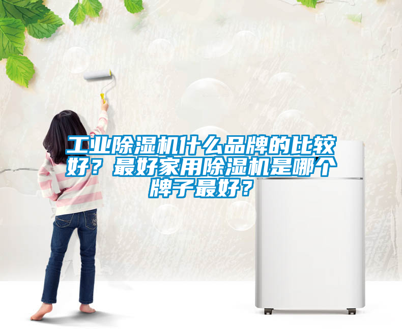 工業(yè)除濕機(jī)什么品牌的比較好？最好家用除濕機(jī)是哪個(gè)牌子最好？