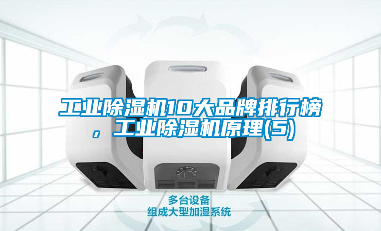 工業(yè)除濕機(jī)10大品牌排行榜，工業(yè)除濕機(jī)原理(5)