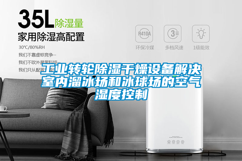 工業轉輪除濕干燥設備解決室內溜冰場和冰球場的空氣濕度控制