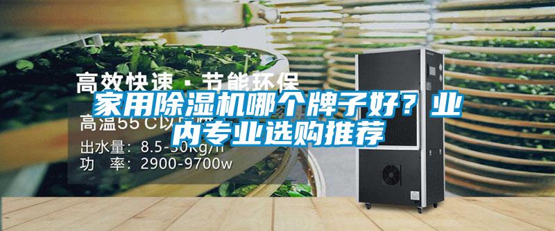 家用除濕機哪個牌子好？業內專業選購推薦
