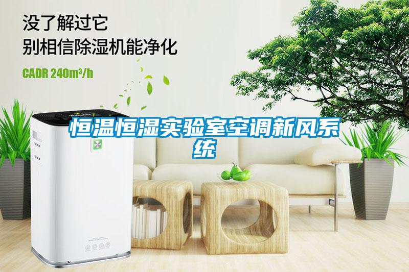 恒溫恒濕實驗室空調新風系統