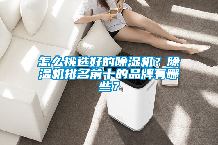 怎么挑選好的除濕機？除濕機排名前十的品牌有哪些？