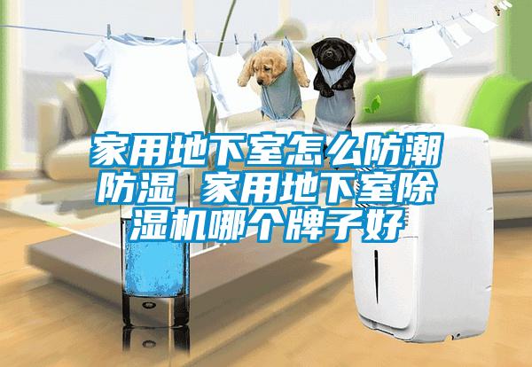 家用地下室怎么防潮防濕 家用地下室除濕機哪個牌子好