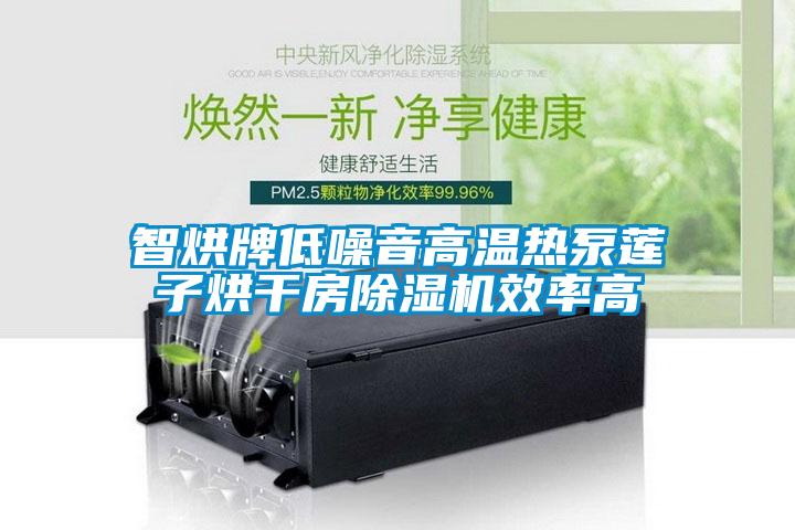 智烘牌低噪音高溫熱泵蓮子烘干房除濕機效率高