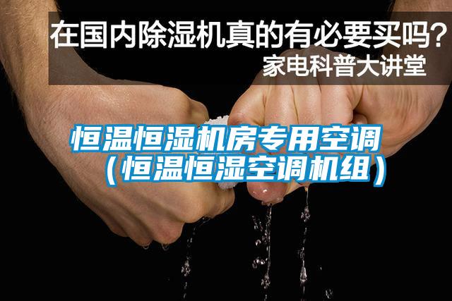恒溫恒濕機(jī)房專用空調(diào)（恒溫恒濕空調(diào)機(jī)組）