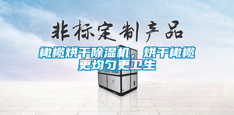 橄欖烘干除濕機，烘干橄欖更均勻更衛生