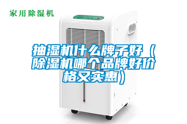 抽濕機什么牌子好（除濕機哪個品牌好價格又實惠）