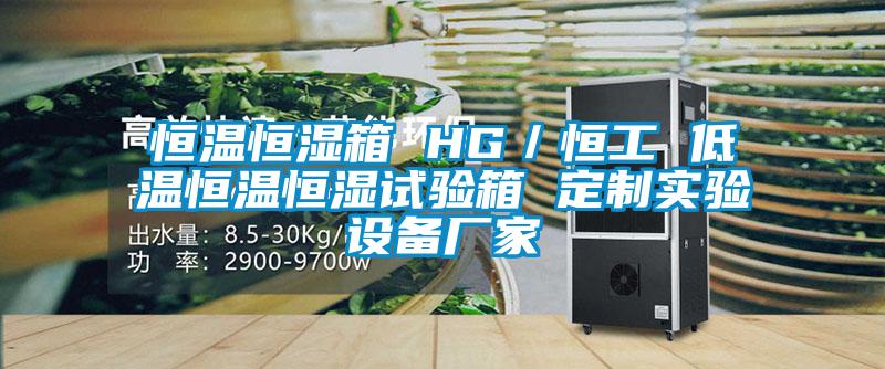 恒溫恒濕箱 HG／恒工 低溫恒溫恒濕試驗箱 定制實驗設備廠家