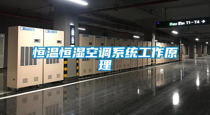 恒溫恒濕空調系統工作原理