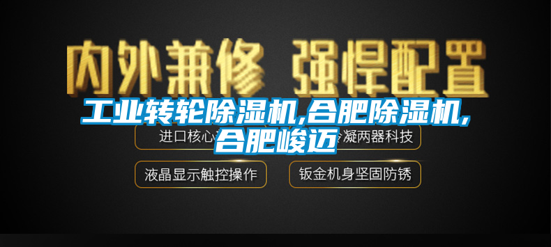 工業轉輪除濕機,合肥除濕機,合肥峻邁