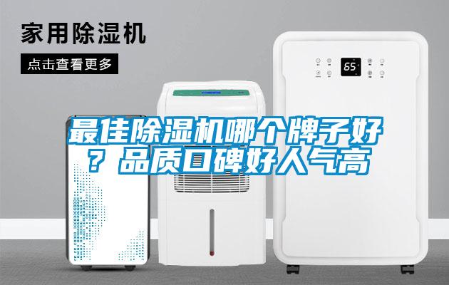 最佳除濕機哪個牌子好？品質口碑好人氣高