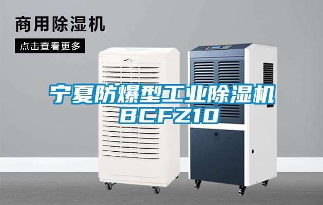 寧夏防爆型工業除濕機 BCFZ10