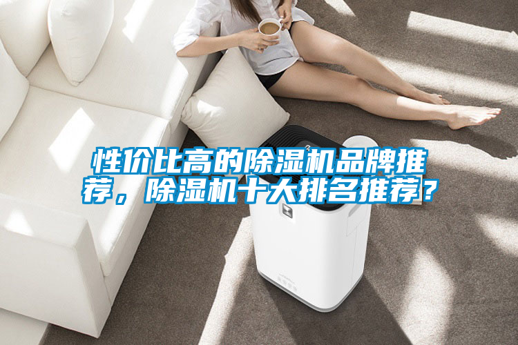 性價比高的除濕機品牌推薦，除濕機十大排名推薦？