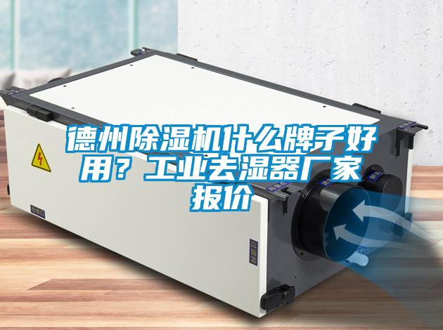 德州除濕機什么牌子好用？工業去濕器廠家報價