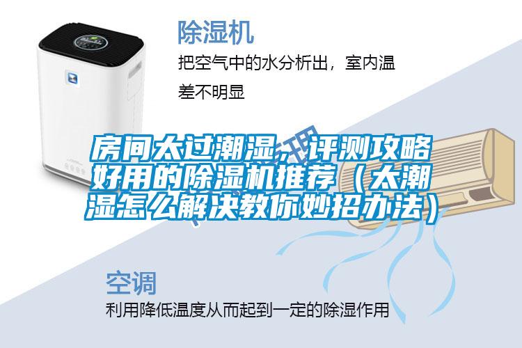 房間太過潮濕，評測攻略好用的除濕機(jī)推薦（太潮濕怎么解決教你妙招辦法）