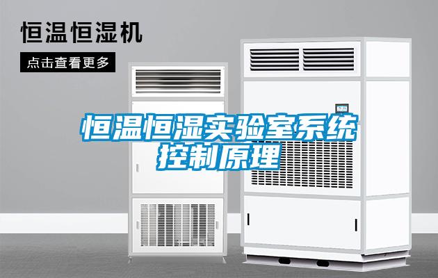 恒溫恒濕實驗室系統控制原理