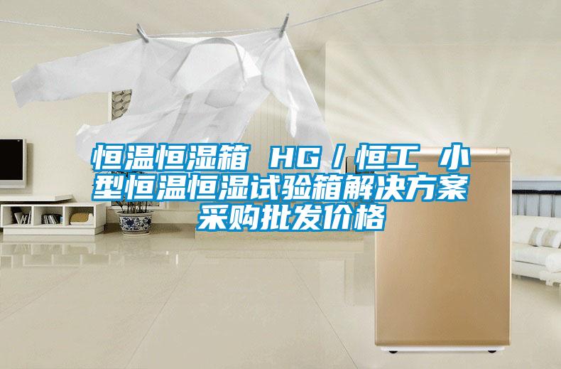恒溫恒濕箱 HG／恒工 小型恒溫恒濕試驗箱解決方案 采購批發價格