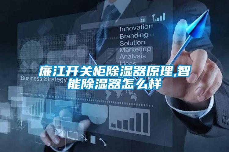 廉江開關柜除濕器原理,智能除濕器怎么樣