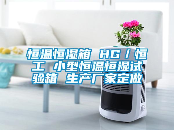 恒溫恒濕箱 HG／恒工 小型恒溫恒濕試驗箱 生產廠家定做