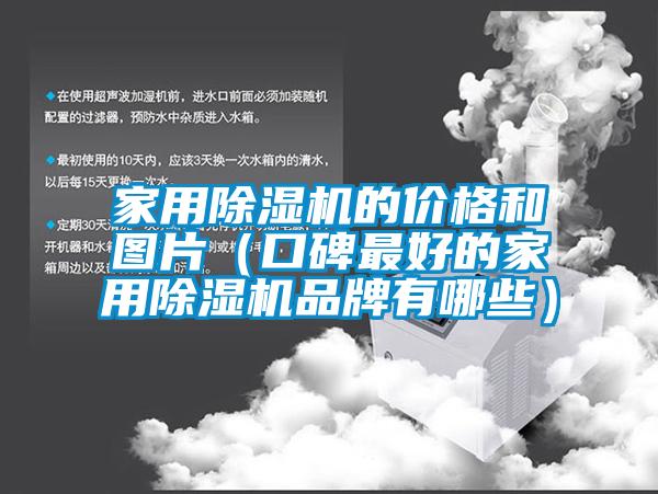 家用除濕機(jī)的價(jià)格和圖片（口碑最好的家用除濕機(jī)品牌有哪些）