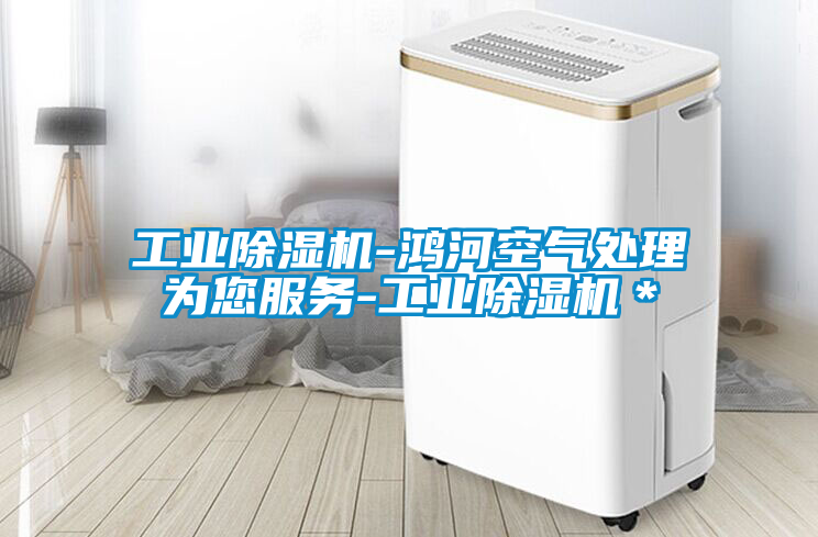工業除濕機-鴻河空氣處理為您服務-工業除濕機＊