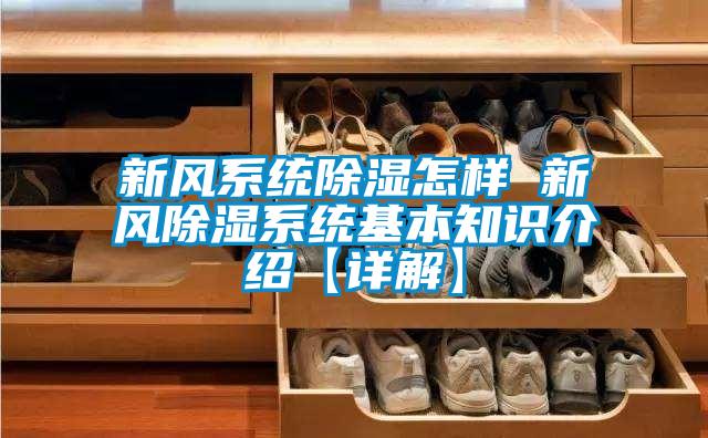 新風系統除濕怎樣 新風除濕系統基本知識介紹【詳解】