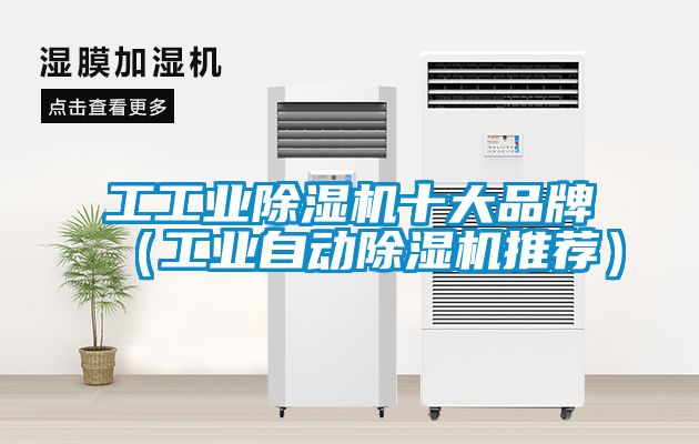 工工業除濕機十大品牌（工業自動除濕機推薦）